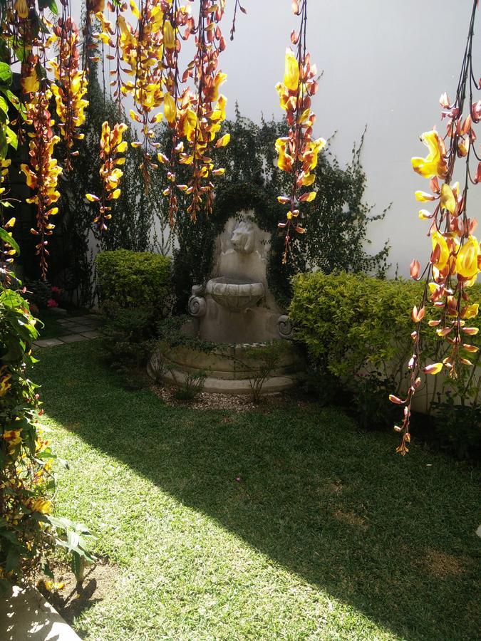 Casa Elena * Antigua